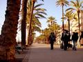 resaca a Badalona...